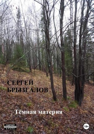 Брызгалов Сергей Тёмная материя (2022).zip
