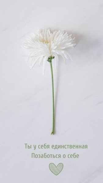 file_94800858