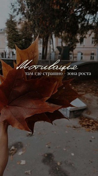 file_94800639