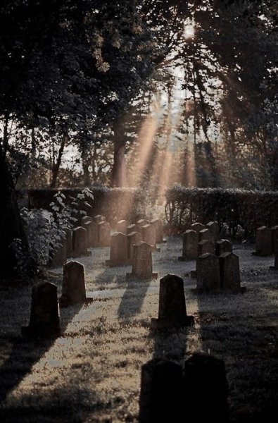 file_99325855