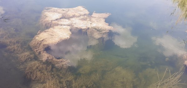 picture_389779053