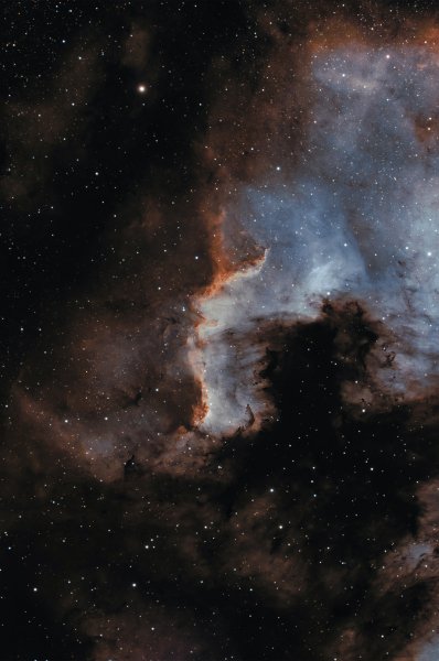 W683419803