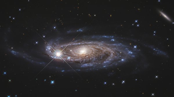 E12786545