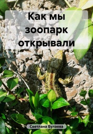 Булаева Светлана Как мы зоопарк открывали (2023).zip