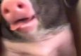 *