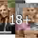 *