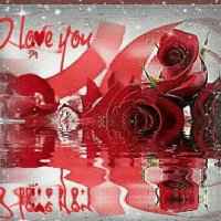 final 33473817