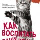 Сара Эллис. Как воспитать вашу кошку