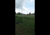 video_91856697