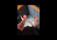А у вас какие загоны