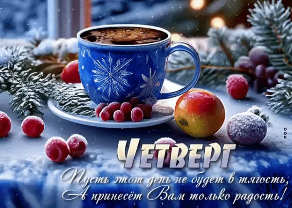 IMG 20231125 175030