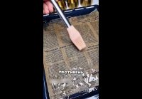 video_109531000