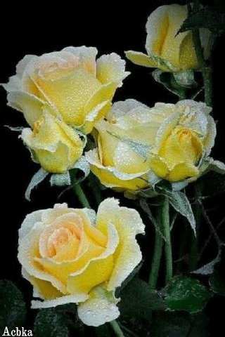 file_94792932