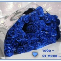 file_72540362