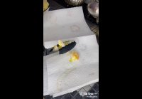 Креветки под соусом