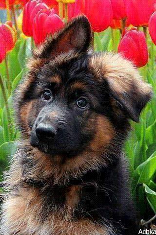 file_82343687