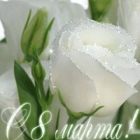 file_92899776