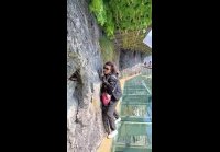 Любители острых ощущений