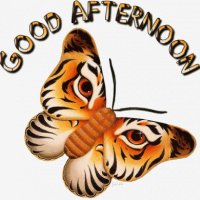 Good Afternoon 000751