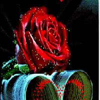 C91188a5d8c1592b636d33dcf45724ea