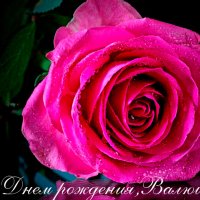 file_93709370