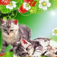 file_58177610
