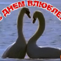 file_72467845