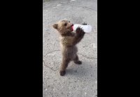 Эй, я ещё недопил