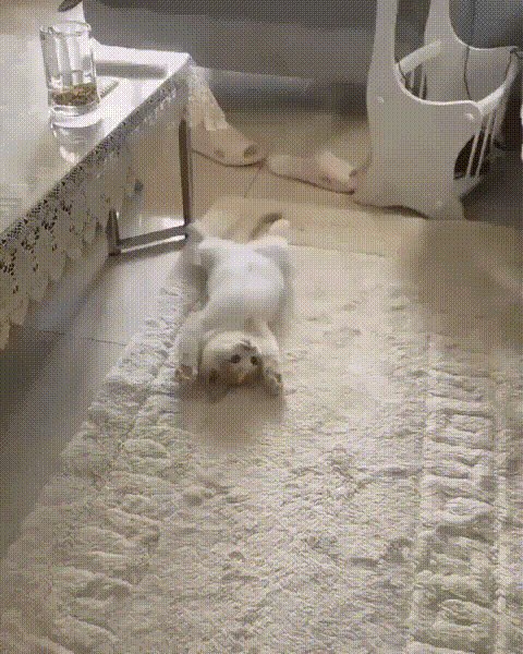 Милота)