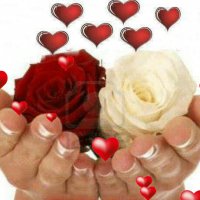 file_52176589