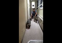 video_109909220