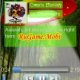 majiplayer