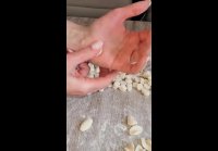 video_88476924