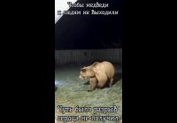 Прикольчик