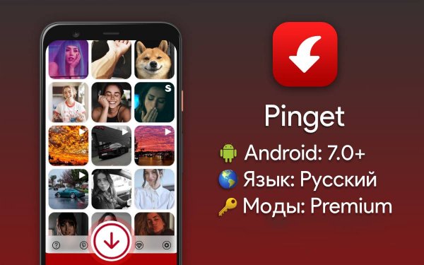 Pinget Premium