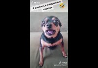 c0c8b623912817a2a574c6c654f5ce3c