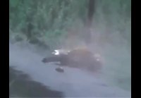 Это не машина, это каркас безопасности вашей жизни!!!
