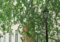 Невский. Наследство Архитектора 8 сезон 29 серия