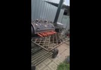 Мангал коптильня холодного и горячего копчения