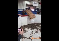 video_103803977
