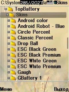 Skins TopBattery N82