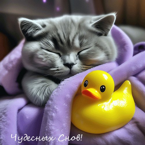 HUZqPmMEaicJ2