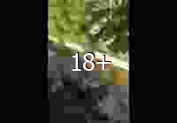 Очередные кадры побега украинских военных из Лимана