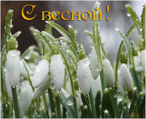 Весна 3