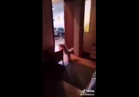 Tik Tok