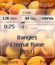 Viking Informatics Mp3 Player v3.53