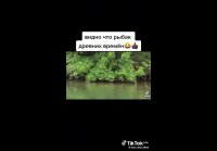video_110102933