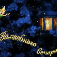 волшебного вечера!