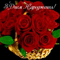 D16bf8ebd2a278492c2216e01a6a0875