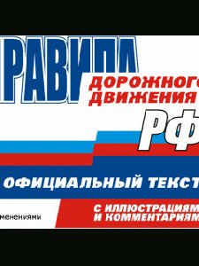 PDD 2010